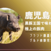 鹿児島旅行