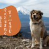 河口湖周辺宿