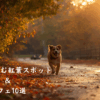 鎌倉愛犬と散歩