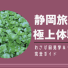 静岡旅行