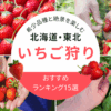 北海道・東北いちご狩り2026年
