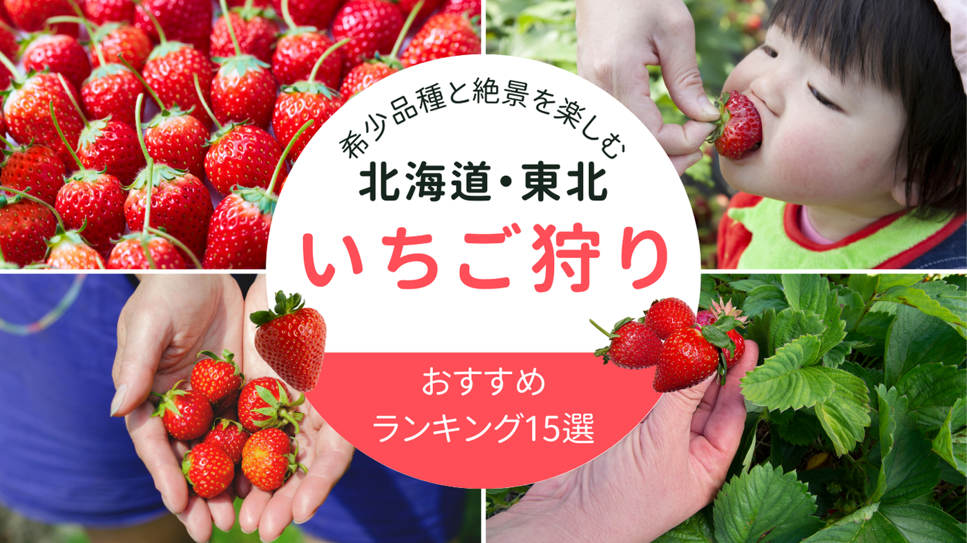 北海道・東北いちご狩り2026年