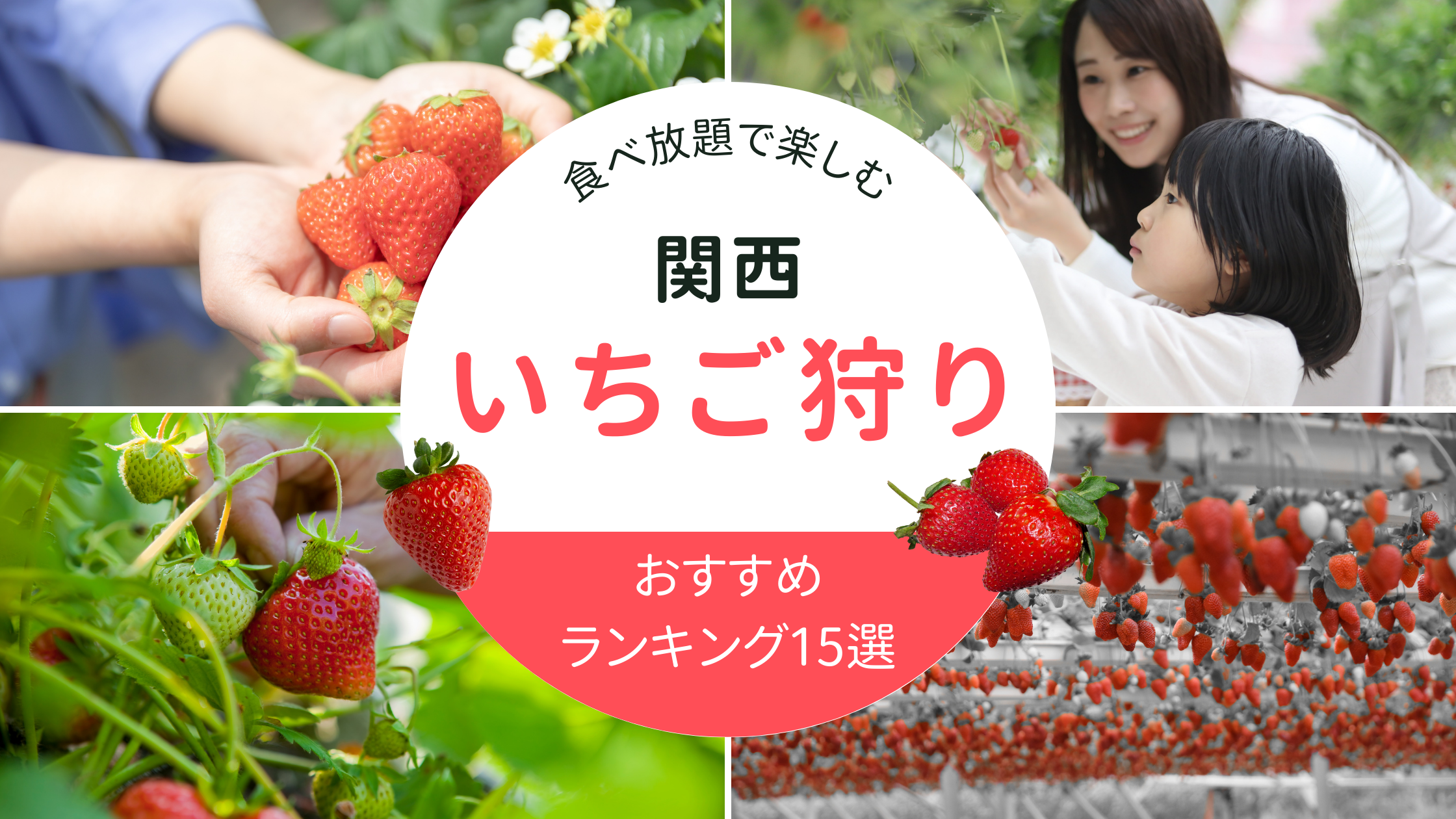 関西いちご狩り2026年