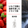 栃木道の駅10選
